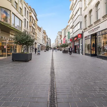 Ruim En Warm In De Winkelstraat Lejlighed Oostende